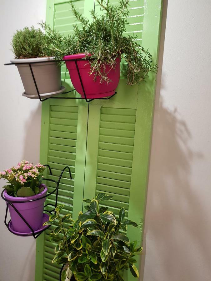 Athens Oasis Apartment Luaran gambar